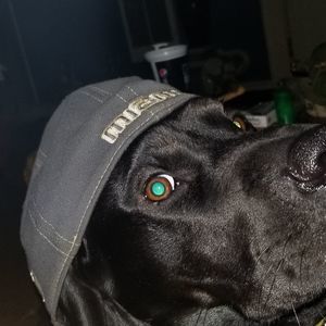 Meet your Posher, Ricky